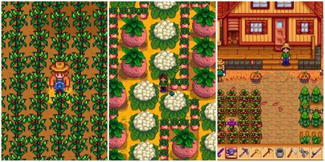Place the fifth Flute block. . Stardew valley polyculture